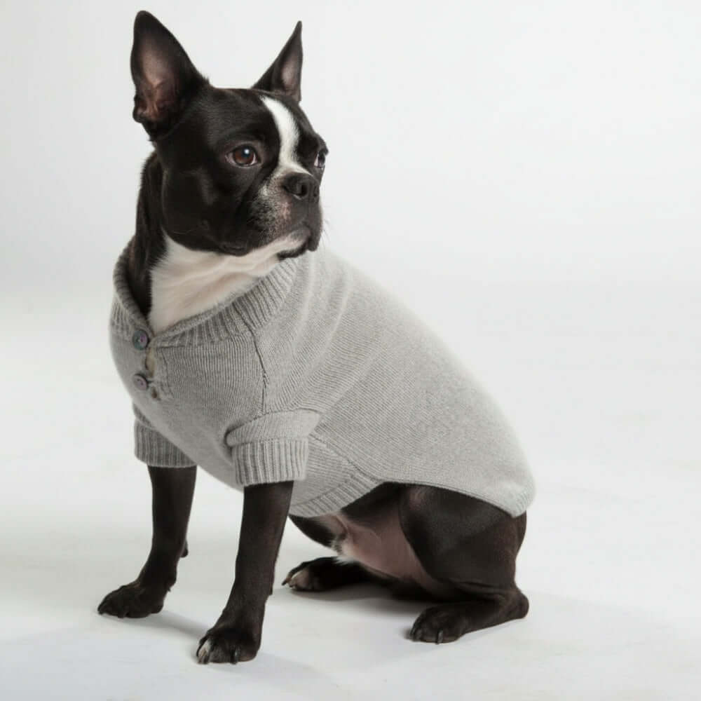 Golfino Cane Cashmere Cariaggi personalizzato, maglioncino grigio per cane su sfondo bianco.