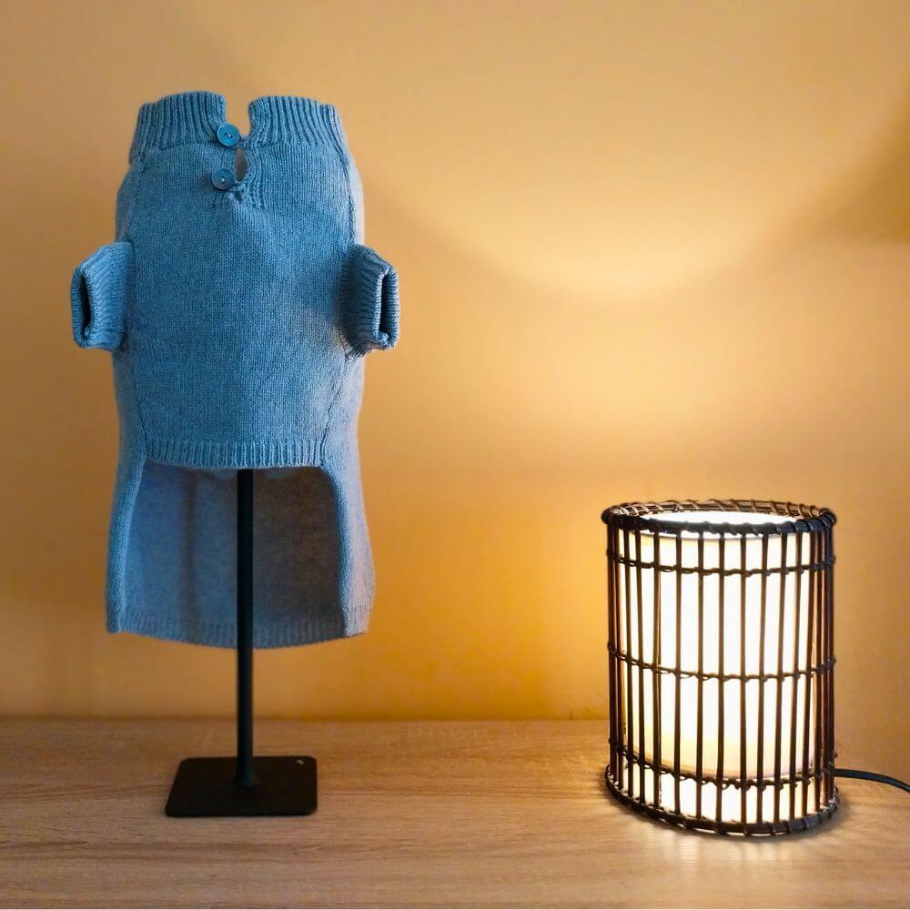 golfino Cashmere Modesto Biagioli cane in ambiente caldo emozionale.
