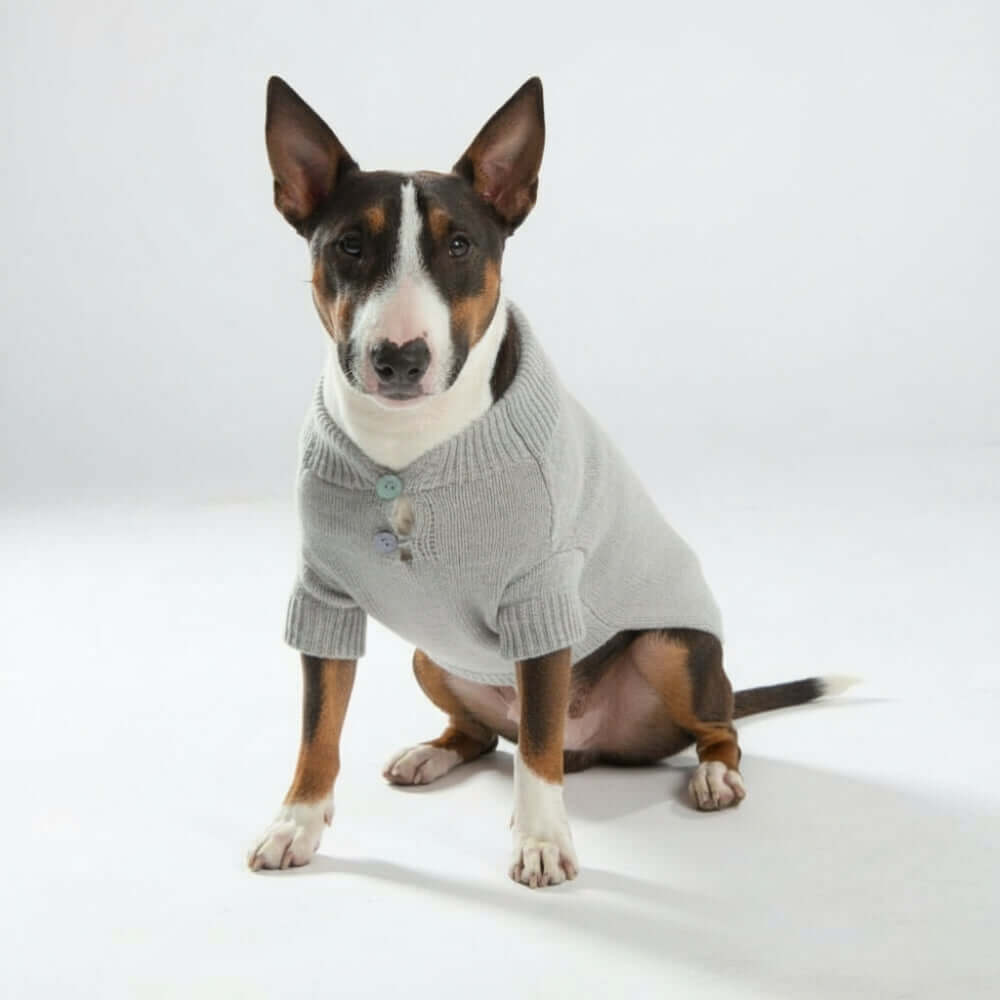Golfino di Lusso in Puro Cashmere Modesto Biagioli per Cani