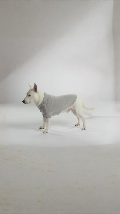 Video_Copertina_Mobile_Golfino_Cashmere_Cane
