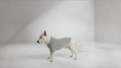 Video_Cpertina_Golfino_Cashmere_Cane